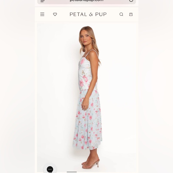 Beautiful blue and pink drop waist dress. Petal and pup. New with tags - Picture 4 of 8